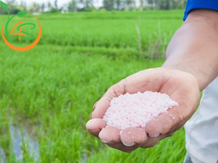 các loại phân bón hóa học