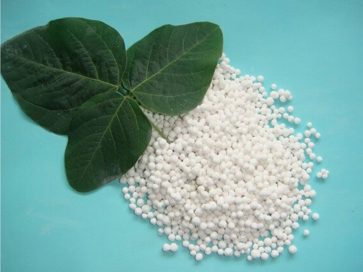 Các Loại Phân Bón Hóa Học Thường Dùng Và Cách Sử Dụng Hiệu Quả 4 các loại phân bón hóa học