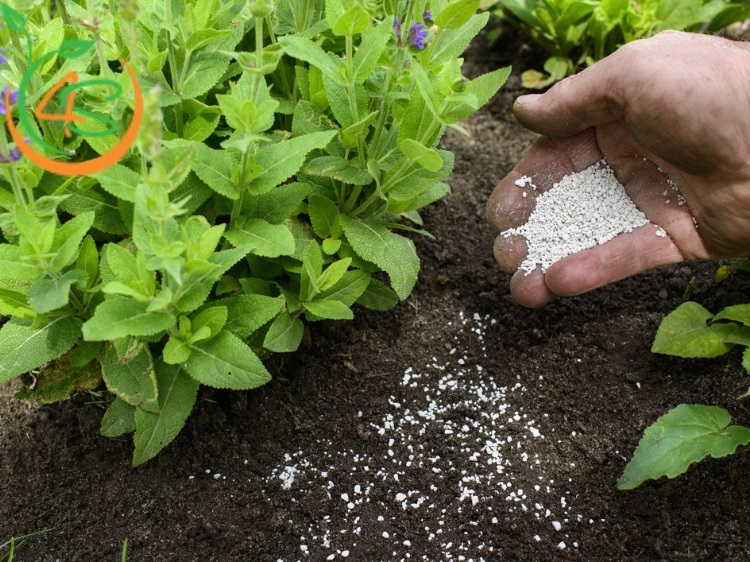 Các Loại Phân Bón Hóa Học Thường Dùng Và Cách Sử Dụng Hiệu Quả 5 các loại phân bón hóa học