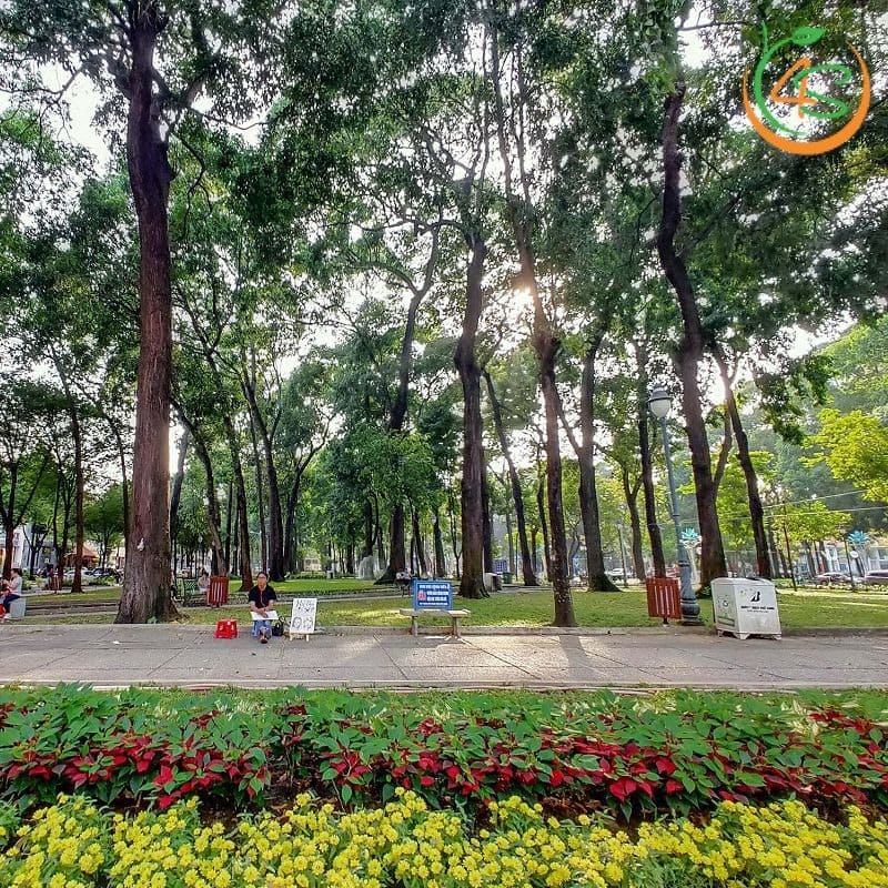 Cây cẩm lai công trình 11 Cây Cẩm Lai công trình đẹp