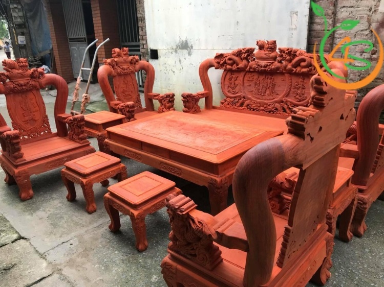 Cây Giáng Hương 12 cây giáng hương