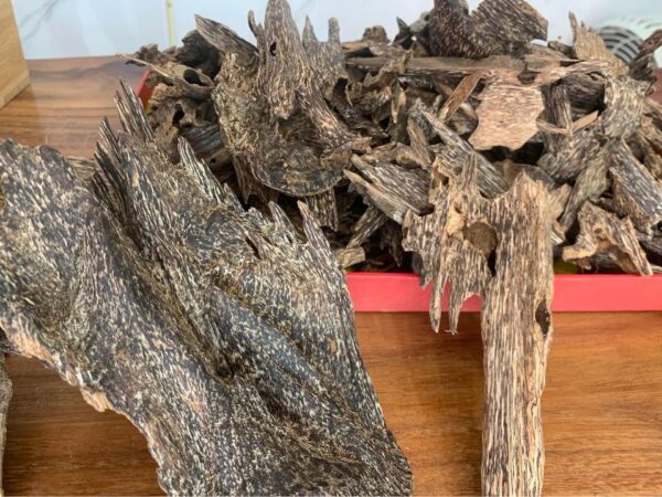 Cây Trầm Hương (dó bầu) 9 Giá trị kinh tế của cây trầm hương