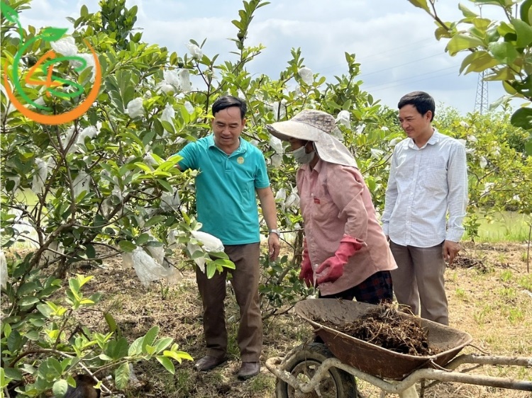 Top 6 Loại Phân Bón Cây Ăn Quả Tốt Nhất Bà Con Nên Biết 10 phân bón cây ăn quả