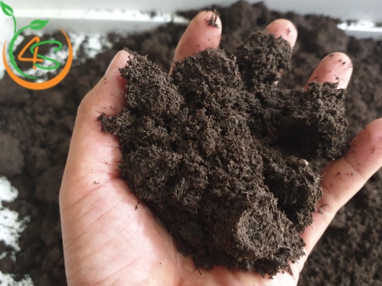 Top 6 Loại Phân Bón Cây Ăn Quả Tốt Nhất Bà Con Nên Biết 2 phân bón cây ăn quả