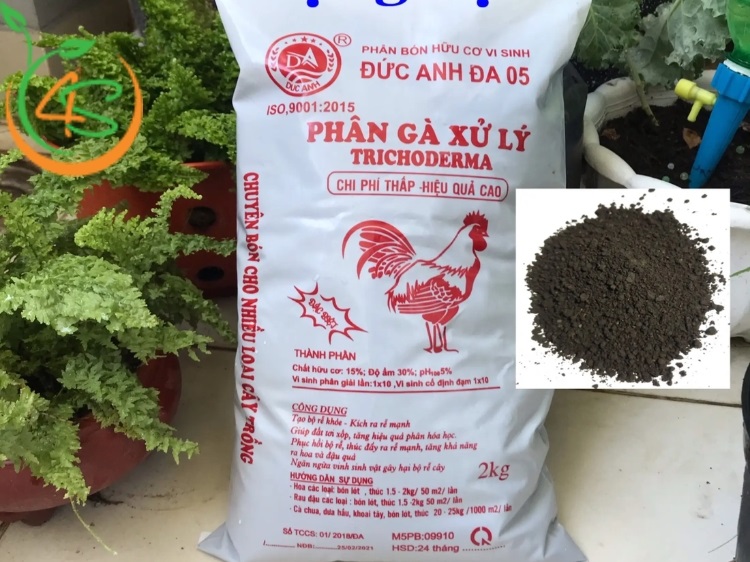 Top 6 Loại Phân Bón Cây Ăn Quả Tốt Nhất Bà Con Nên Biết 3 phân bón cây ăn quả