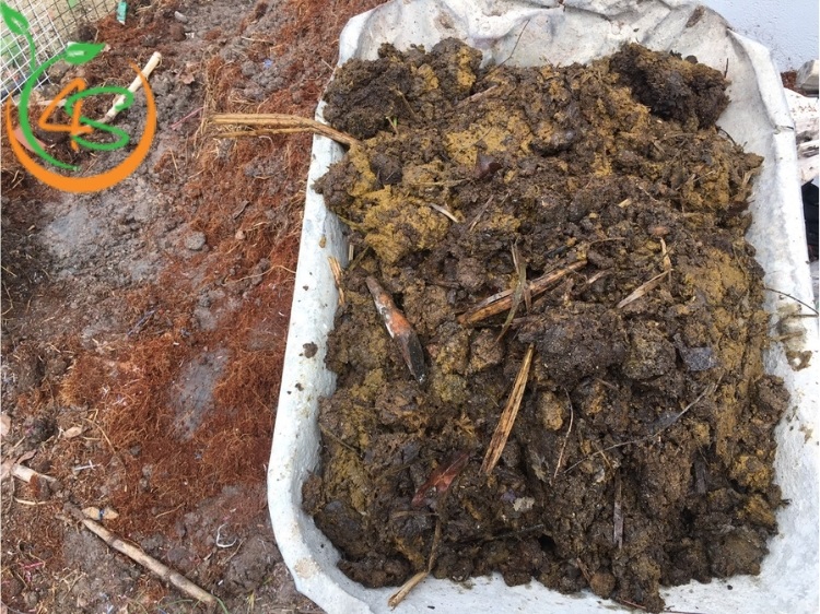 Top 6 Loại Phân Bón Cây Ăn Quả Tốt Nhất Bà Con Nên Biết 4 phân bón cây ăn quả