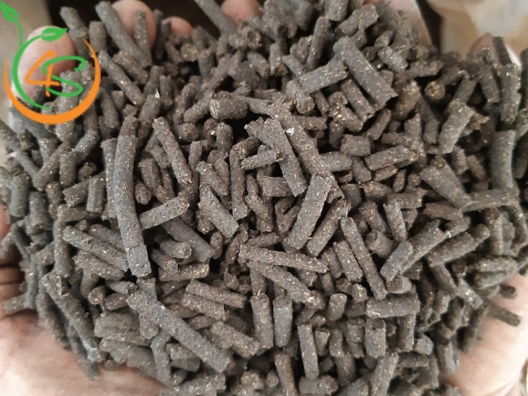 Top 6 Loại Phân Bón Cây Ăn Quả Tốt Nhất Bà Con Nên Biết 5 phân bón cây ăn quả