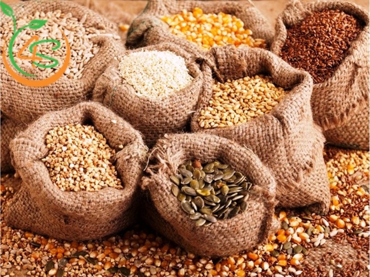 Nhược Điểm Và Ưu Điểm Của Nhân Giống Bằng Hạt Bạn Nên Biết 2 ưu điểm của nhân giống bằng hạt