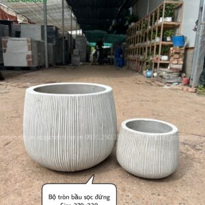 CHẬU XI MĂNG – ĐÁ MÀI BỘ TRÒN BẦU SỌC ĐỨNG